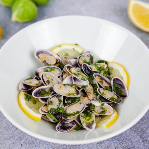 Wedge Clam - Tellina